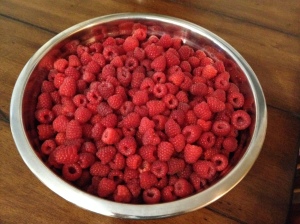 Freshly picked raspberries should be handled right away since they do not last long in the summer heat